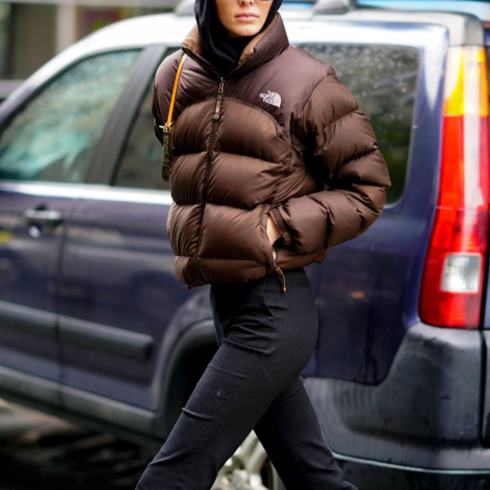 ⚡️Vintage Brown North Face Puffer